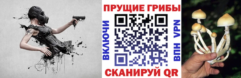 kraken маркетплейс это телеграм Алейск Галлюциногенные грибы мухоморы дарнет шоп